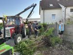 250502 Entfernung Hecke 1