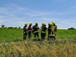 Fahrzeugbrand im Ortsgebiet von Göpfritz/Wild