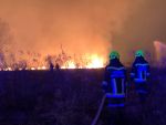 Waldbrand am TÜPL Allentsteig