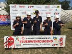 Landestreffen der NÖ FJ 2017 in Neuhofen/Ybbs