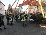 Maibaum 2015