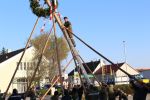 Maibaum 2016