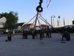 Maibaum 2018
