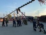 Maibaum 2022