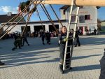Maibaum 2023