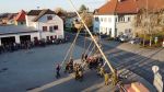 Maibaum 2023
