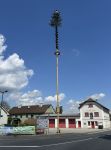Maibaum 2025