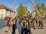 Maibaum 2025
